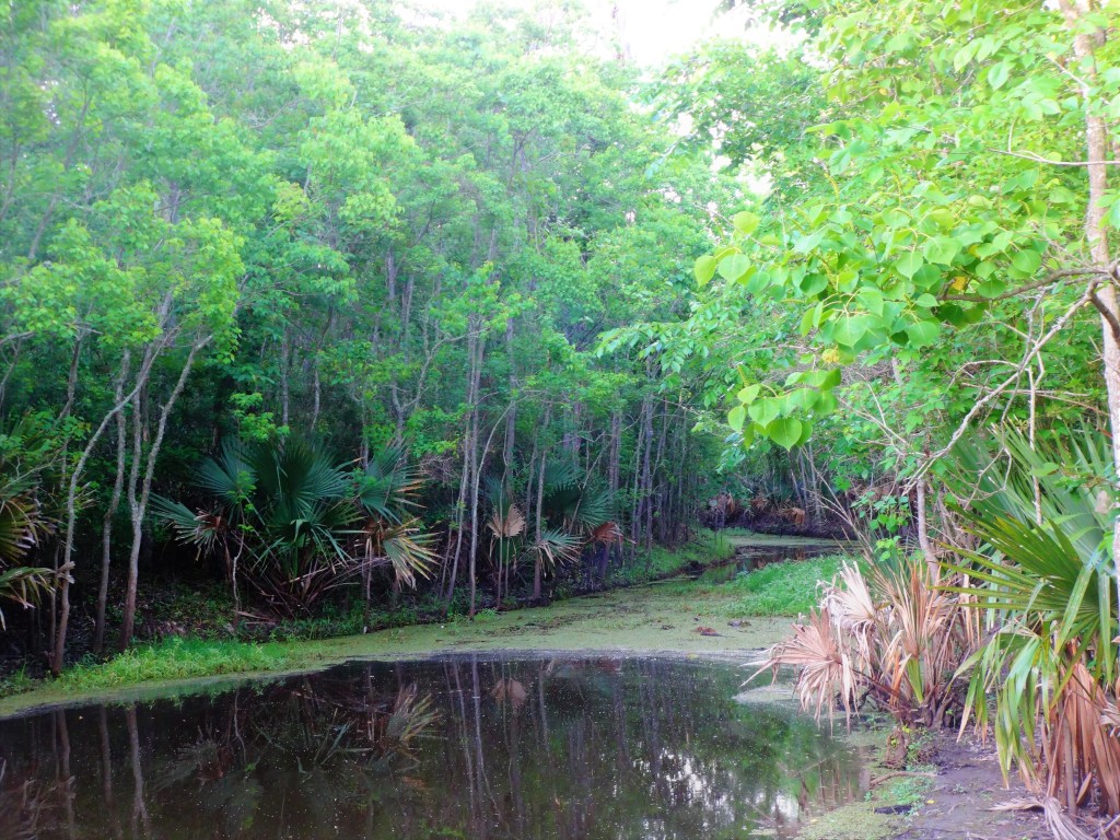 April Road Trip: Eastern Texas and&nbsp;Louisiana